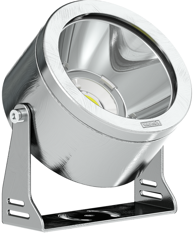 Nemo - Silver Clipart (1024x768), Png Download