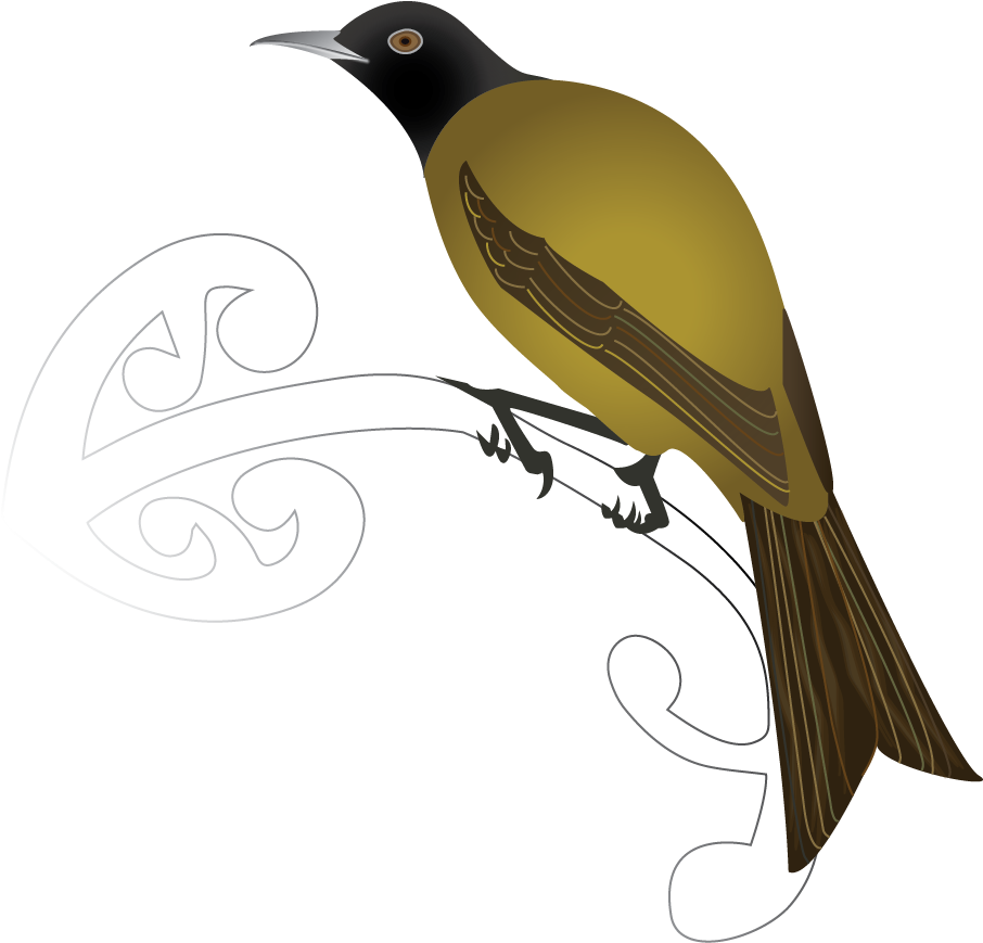 Chatham Bellbird - Old World Oriole Clipart (905x905), Png Download