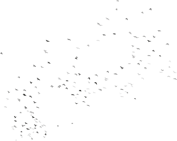 Flock Clipart (637x534), Png Download