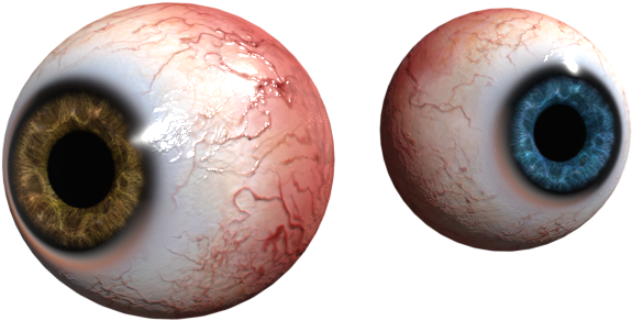Eyes 3d Model Free Clipart (800x400), Png Download