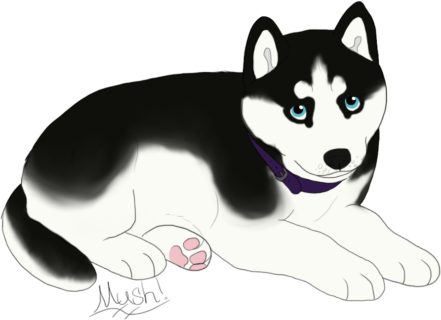 Pup 4= Female, Sable Colored Husky With Dual Colored - Husky With Blue Eyes Drawing Transparent Gif Clipart (1024x768), Png Download