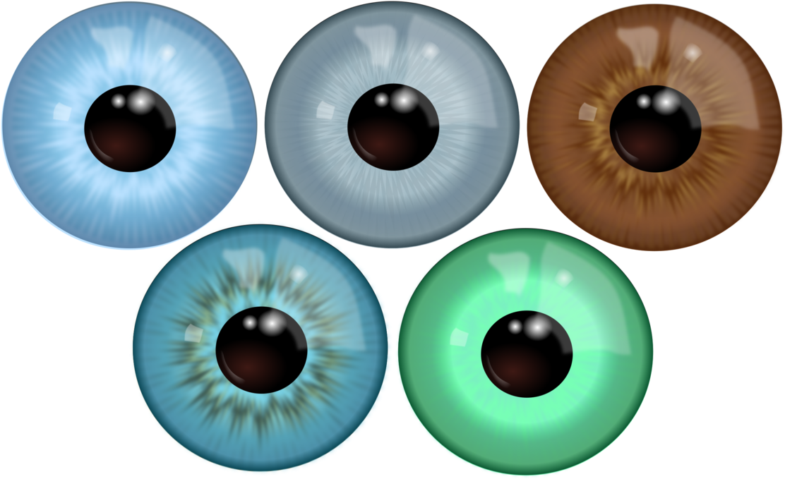 Olympic Games Eyebrow Eyelash - Circle Clipart (1147x750), Png Download