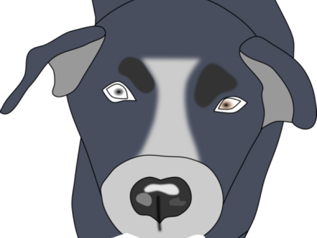 Nike Clipart Husky Puppy - Companion Dog - Png Download (640x480), Png Download