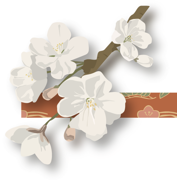 Dsc 8051shadow Flowers Left Flowers Right - Cherry Blossom Clipart (570x586), Png Download