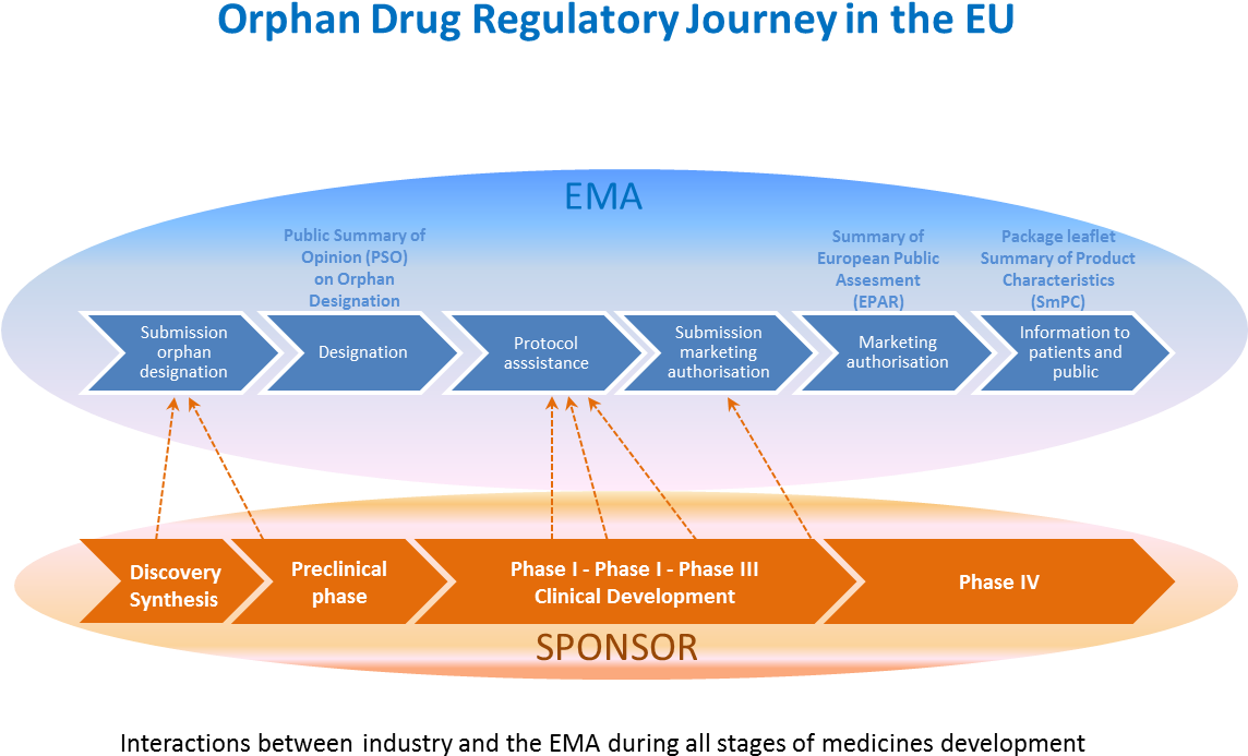 The Following Graph Shows All The Stages Of The Centralised - Business Plan Clipart (1143x732), Png Download