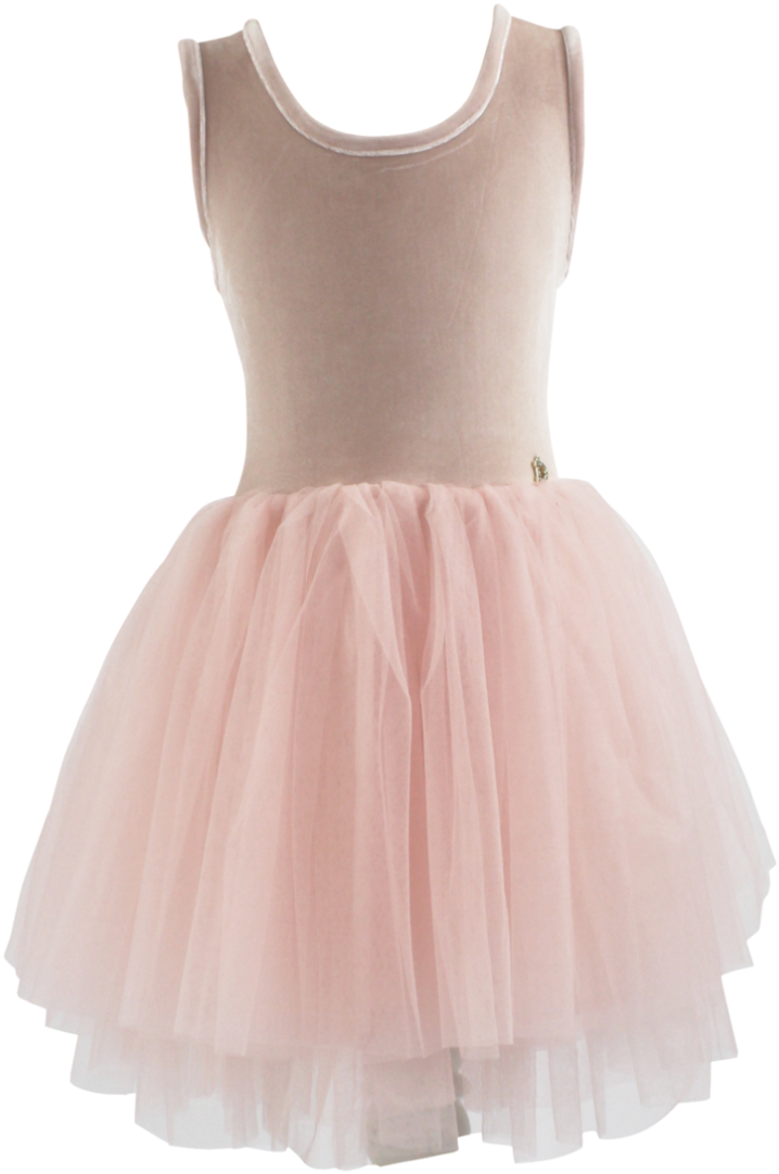 Dolly By Le Petit Tom Velvet Essential Tutu Dress Ballet - Ballet Tutu Clipart (795x1200), Png Download