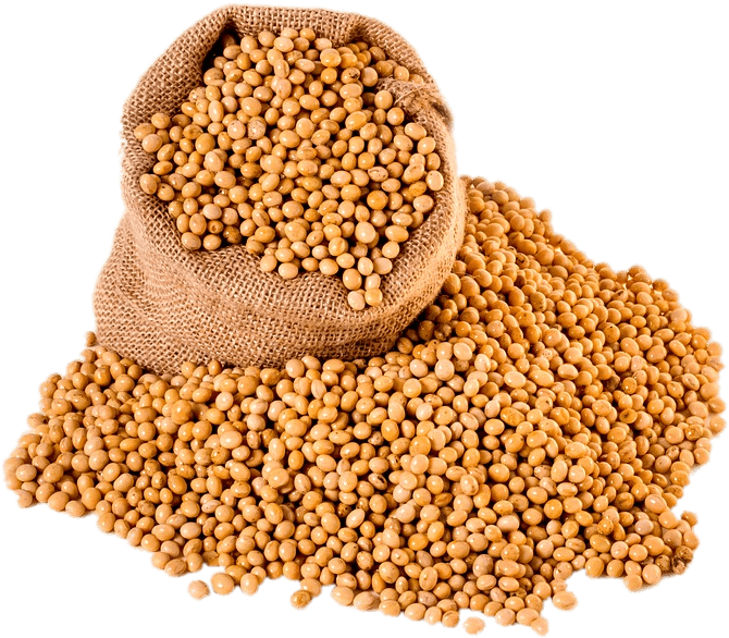 Bag Of Soybeans - Transparent Soybean Png Clipart (960x640), Png Download