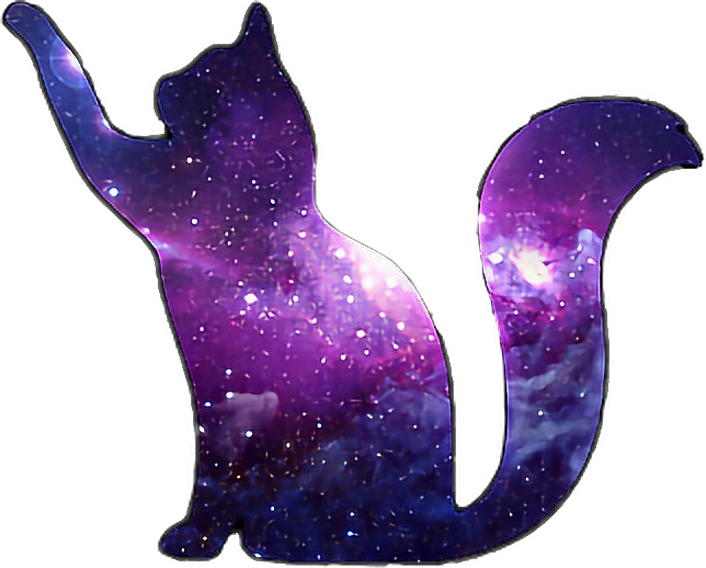 #purple #cat #scpurple #galaxy #cat #galaxycat #blue - Galaxy Cat Tumblr Png Clipart (644x518), Png Download