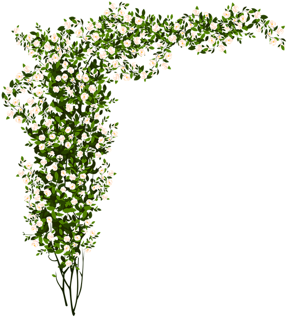 Arrangement Flowers Green Small Flower - White Flower Bush Png Clipart (642x720), Png Download
