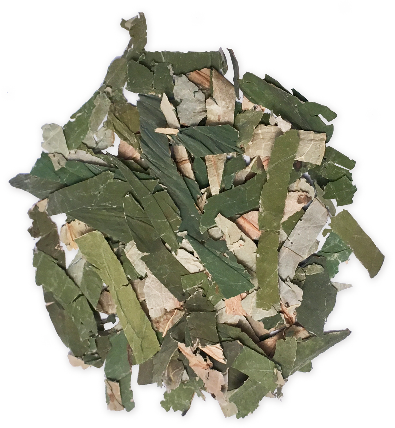 Lotus Leaf 1 - Wood Clipart (1361x1477), Png Download