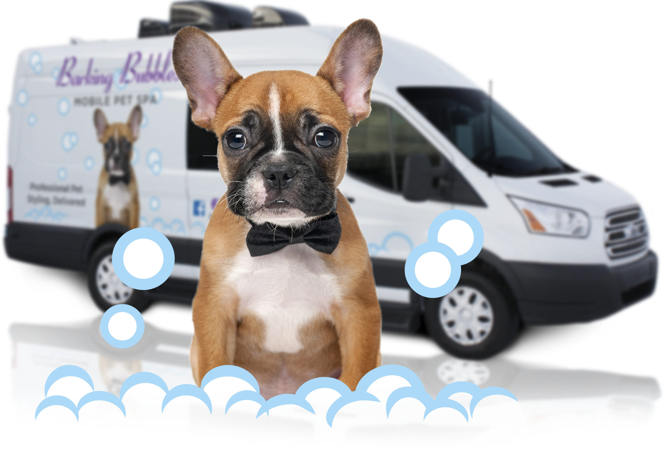 Mobile Pet Grooming Bath Bubbles Clipart (2296x1543), Png Download