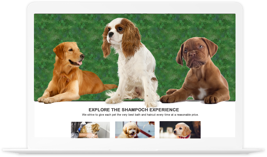 Image Is Not Available - Companion Dog Clipart (865x508), Png Download