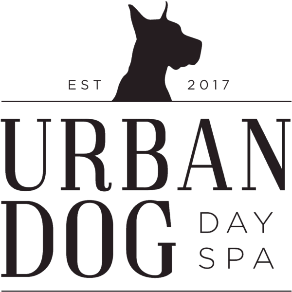 Urban Dog Day Spa Logo - Dobermann Clipart (640x640), Png Download