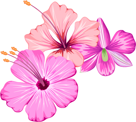 Small Fresh Flowers Flower Summer Free Transparent - Summer Flower Png Clipart (652x617), Png Download