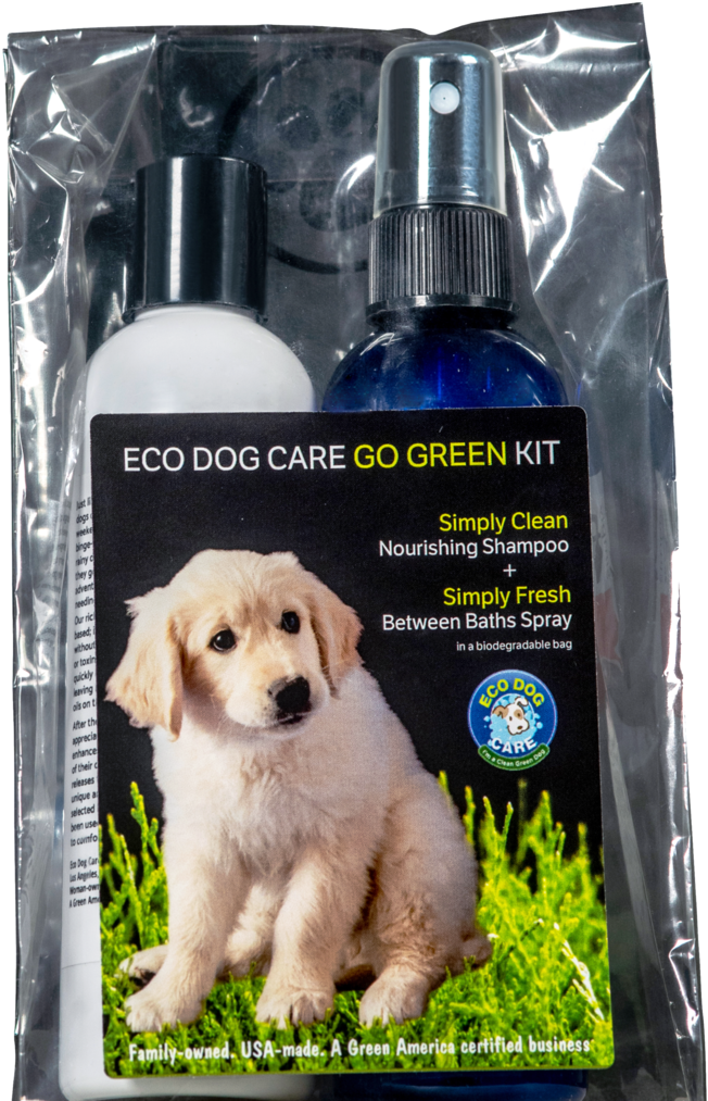 Eco Dog Care Products - Golden Retriever Clipart (683x1024), Png Download