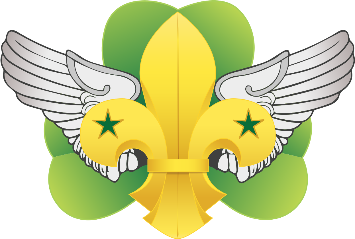 Wikiproject Scouting Fleur De Lis Air Scout - Cartoon Clipart (1280x858), Png Download