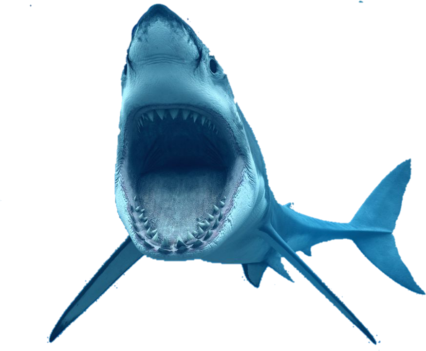 #tiburon #reto - Great White Shark Png Clipart (882x748), Png Download