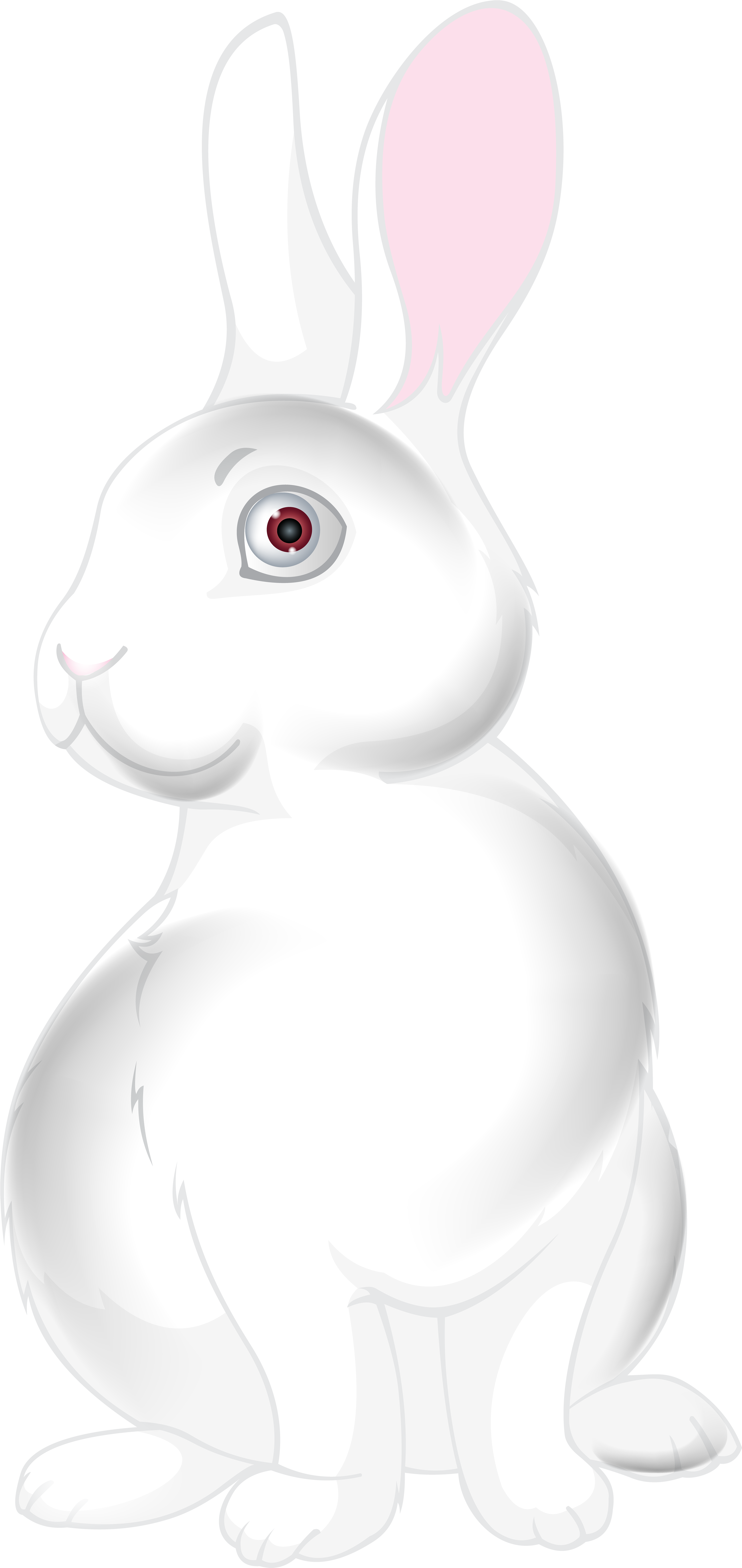 White Bunny Cartoon Png Clip Art Image - Domestic Rabbit Transparent Png (3842x8000), Png Download