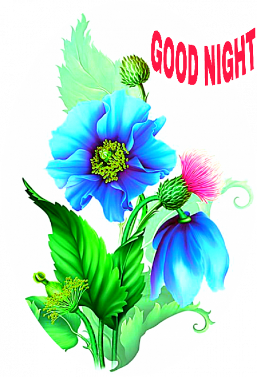 Good Night - Moonbeam's 1212 Clipart (500x735), Png Download