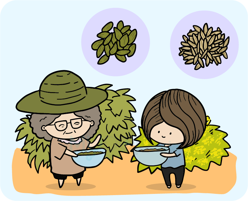 Breathe Clipart Foul - Cartoon - Png Download (800x650), Png Download