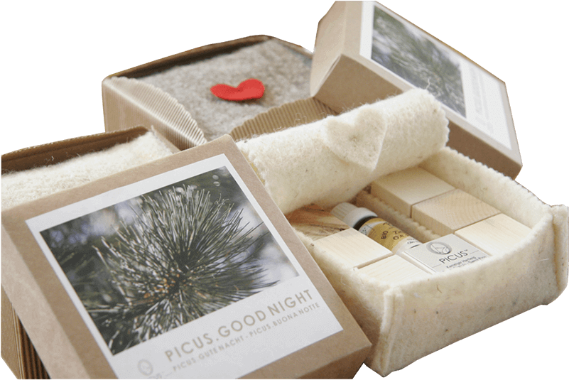 Sea Urchin Clipart (800x800), Png Download