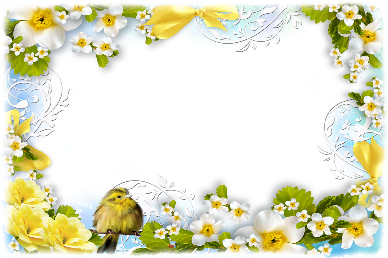 Flowers And Birds - Flower Spring Clipart Border - Png Download (1280x853), Png Download