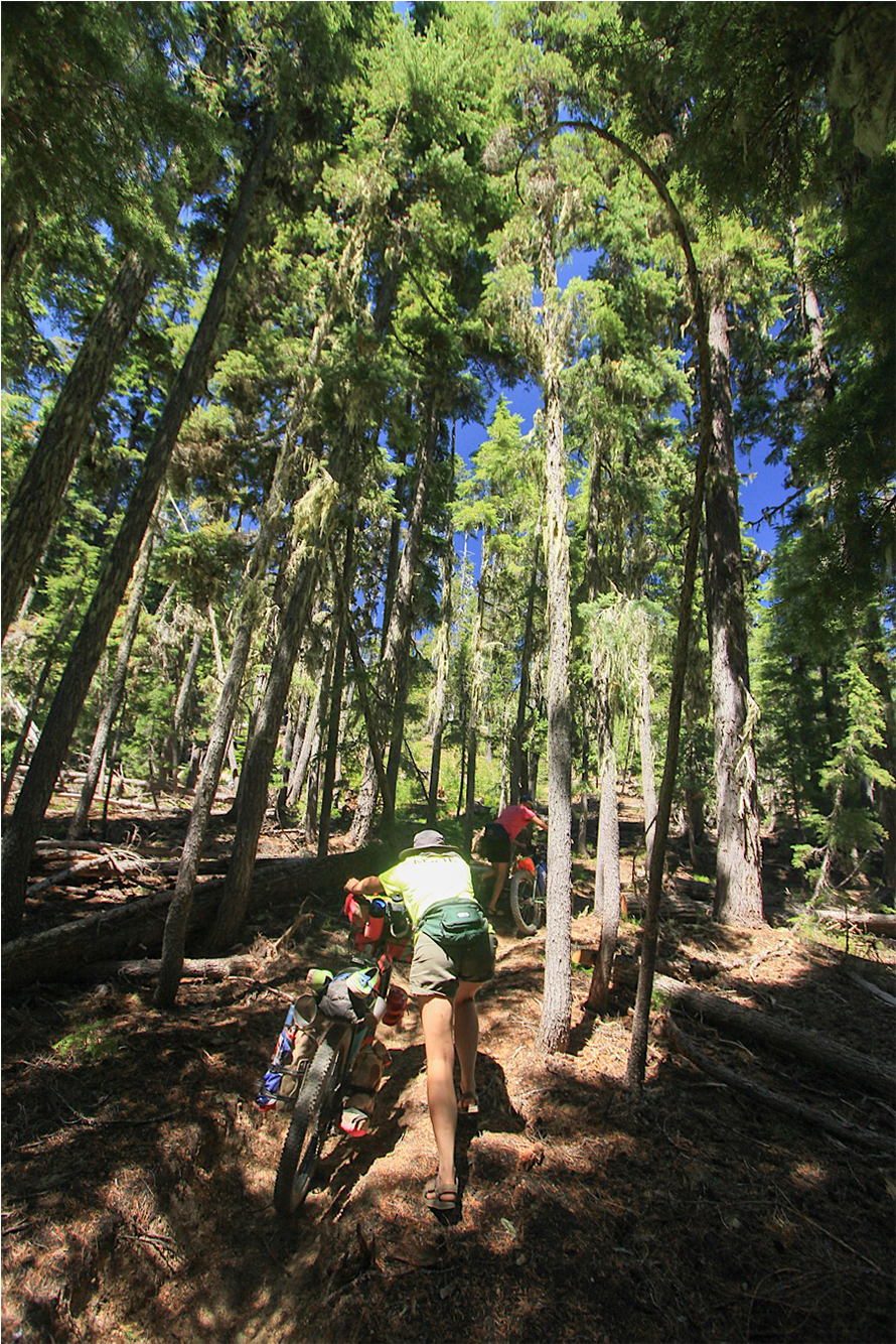 International Kook Exchange Program Clipart (2000x1333), Png Download