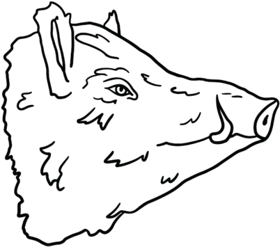 Pig Heads 03 - Sketch Clipart (599x600), Png Download