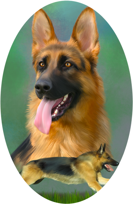 Click And Drag To Re-position The Image, If Desired - German Shepherd Whiskers Clipart (494x700), Png Download