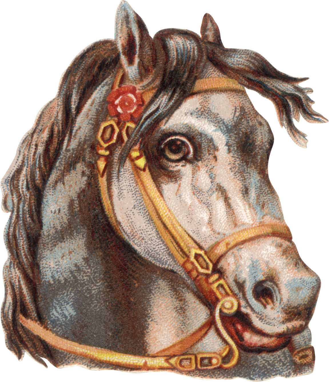 Running Horse Png - Sorrel Clipart (1151x1336), Png Download