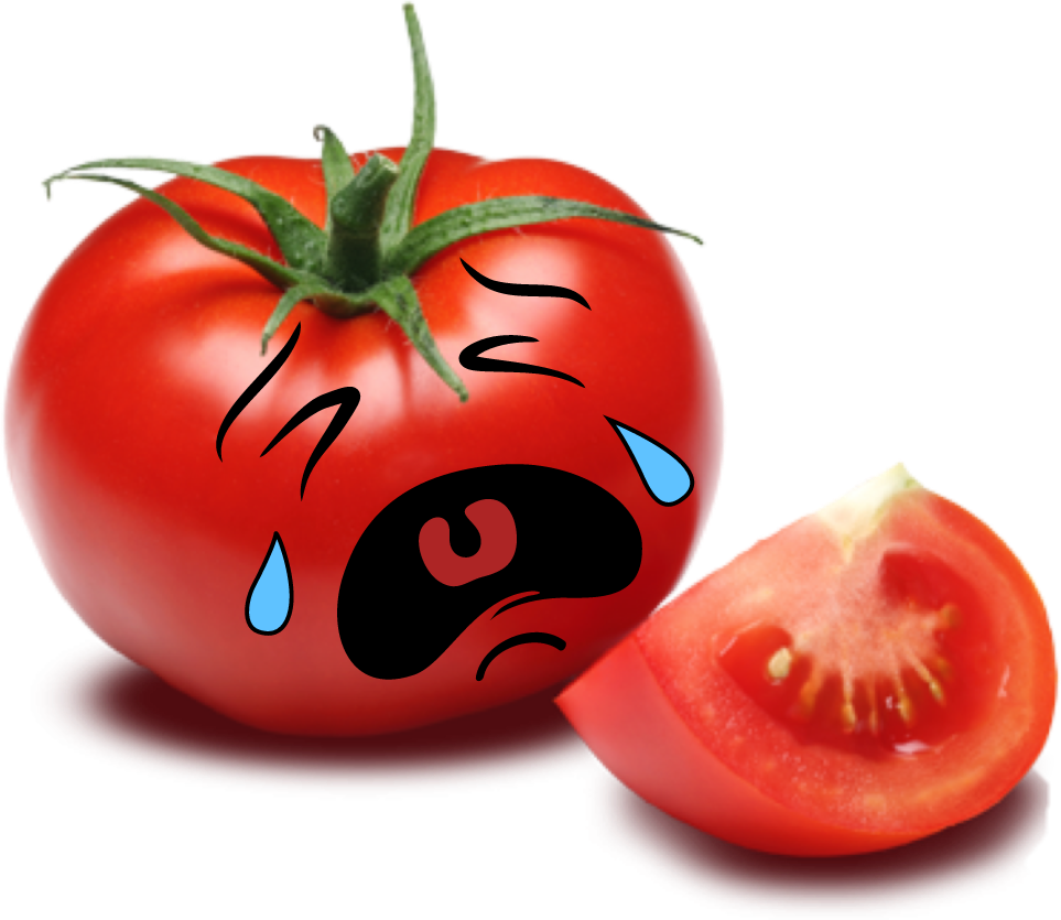 Tomato Clipart Cute - Sun Dried Tomato Png Transparent Png (963x835), Png Download