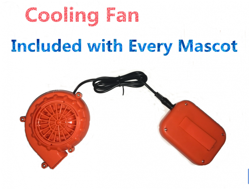 Orange Clipart (800x800), Png Download