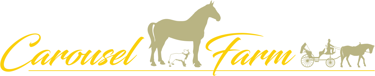 Carousel Farm - Mane Clipart (1313x266), Png Download