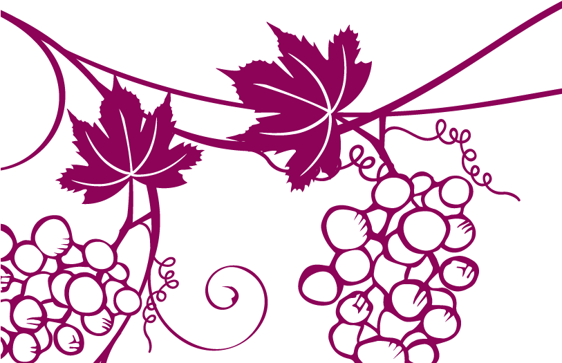 These Products, Characterized By The Natural Extract - Illustration Clipart (812x574), Png Download