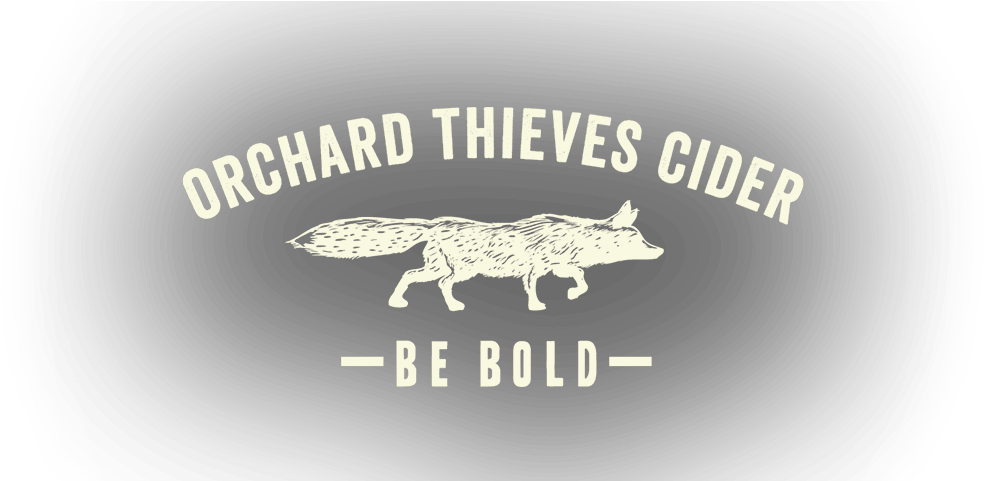 Our Story - Greyn Anatomia Clipart (1000x480), Png Download