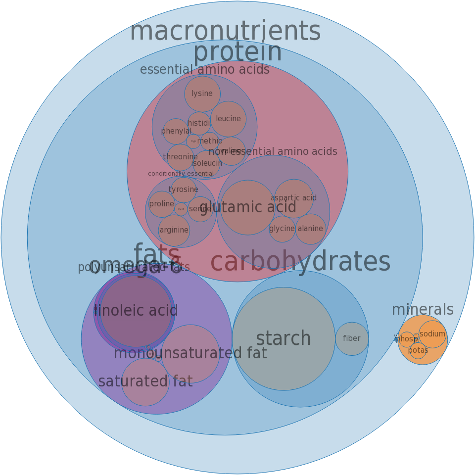 Circle Clipart (960x960), Png Download