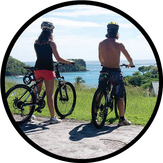 Bike Tours - Mountain Bike Clipart (690x648), Png Download