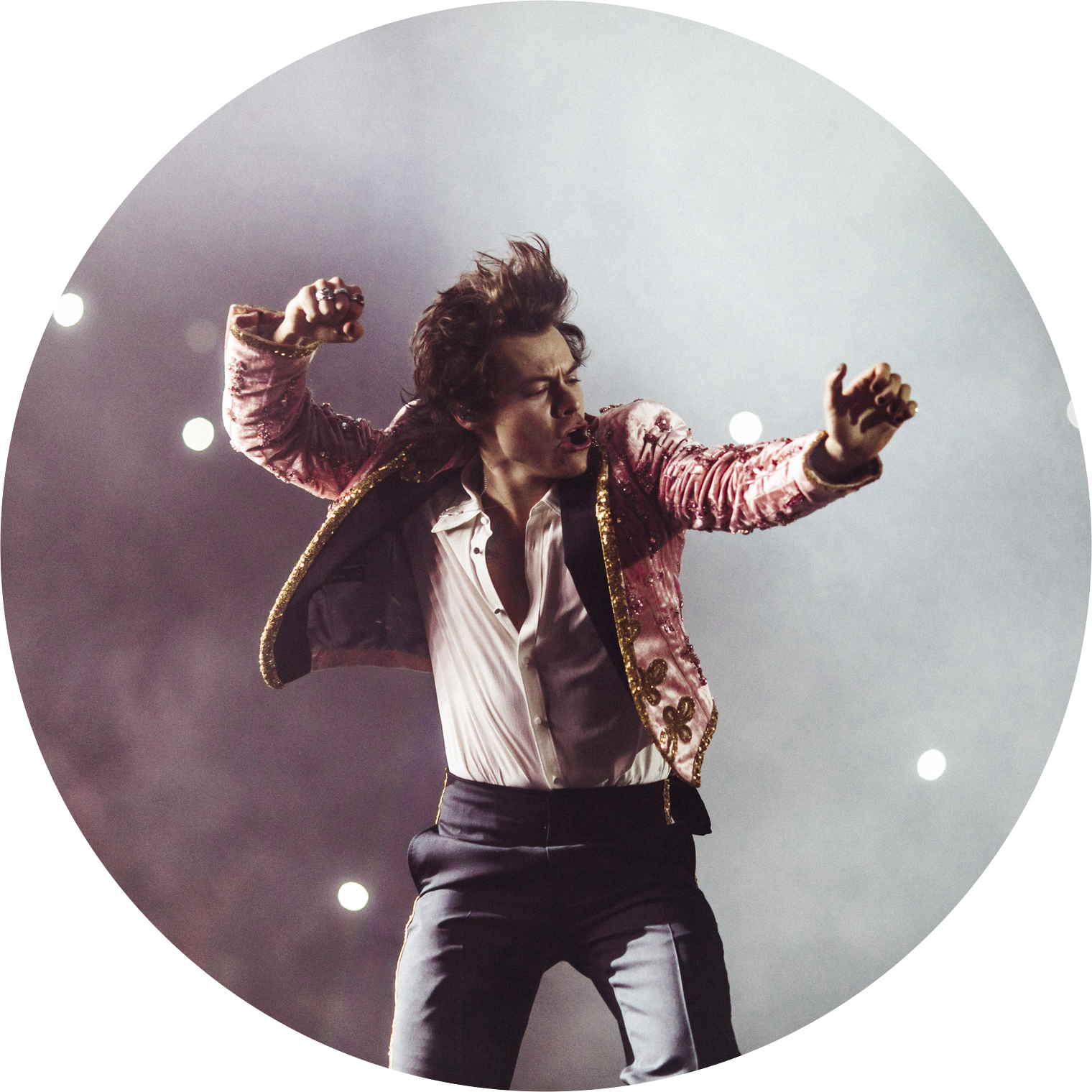 Harry Styles Clipart (1520x1520), Png Download