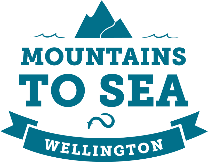 Mountains To Sea Wellington - Cape Union Mart Clipart (850x718), Png Download