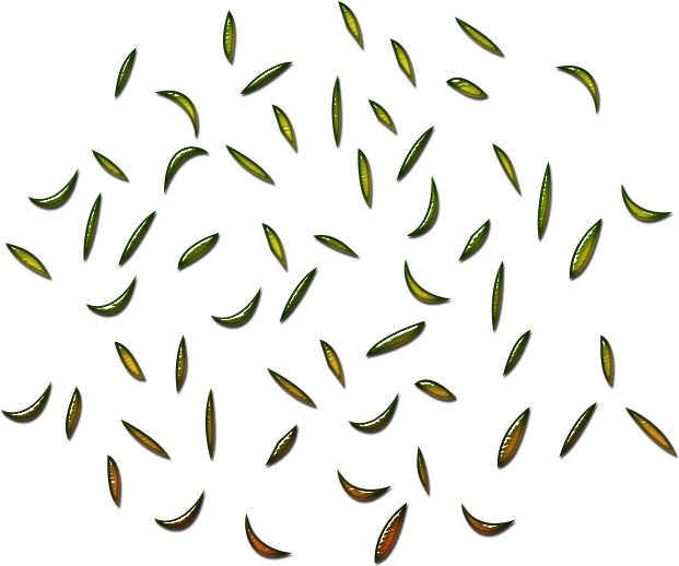 Splatters 700 X - Calligraphy Clipart (700x700), Png Download