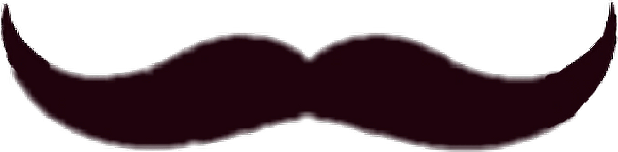 Mustash Masked Mastache Mustache Blackandwhite Cute - Heart Clipart (2040x504), Png Download