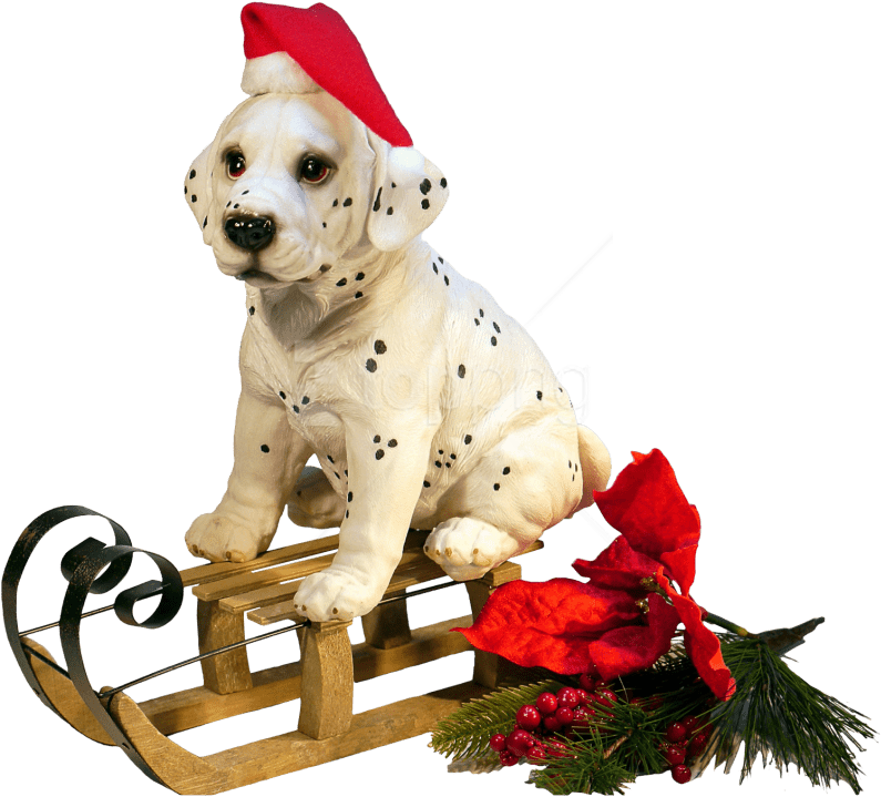 Free Png Download Christmas Dog Png Images Background - Christmas Dog Png Clipart (850x767), Png Download