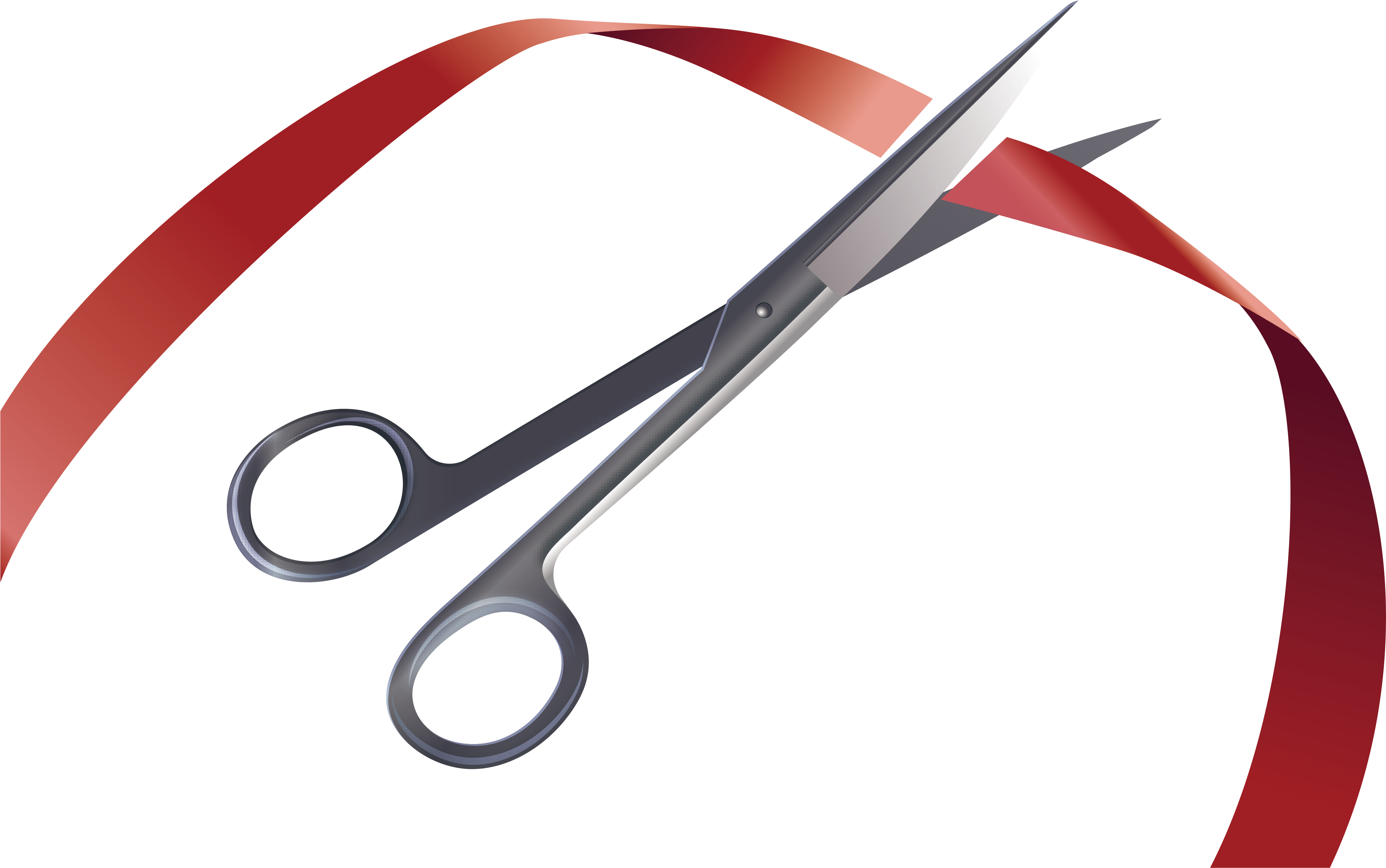 Scissors Ribbon Opening Ceremony Borxf - Surgical Instrument Clipart (4091x2578), Png Download