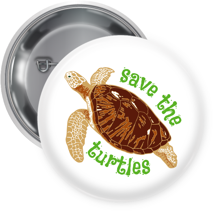 Box Turtle Clipart (800x740), Png Download