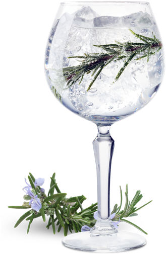 Image Transparent Library Cocktail Drawing Gin And - Gin Tonic Gin Png Clipart (545x679), Png Download