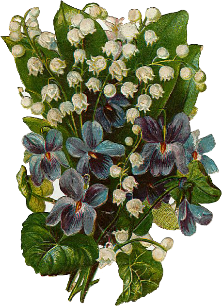 Vintage Violets And Lily's Of The Valley Bouquet Free Clipart (485x651), Png Download