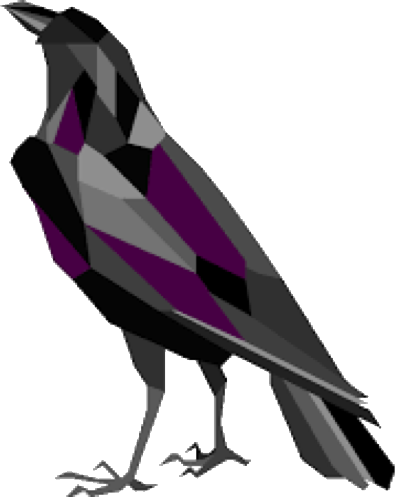 Raven Icon Clipart (2048x2048), Png Download