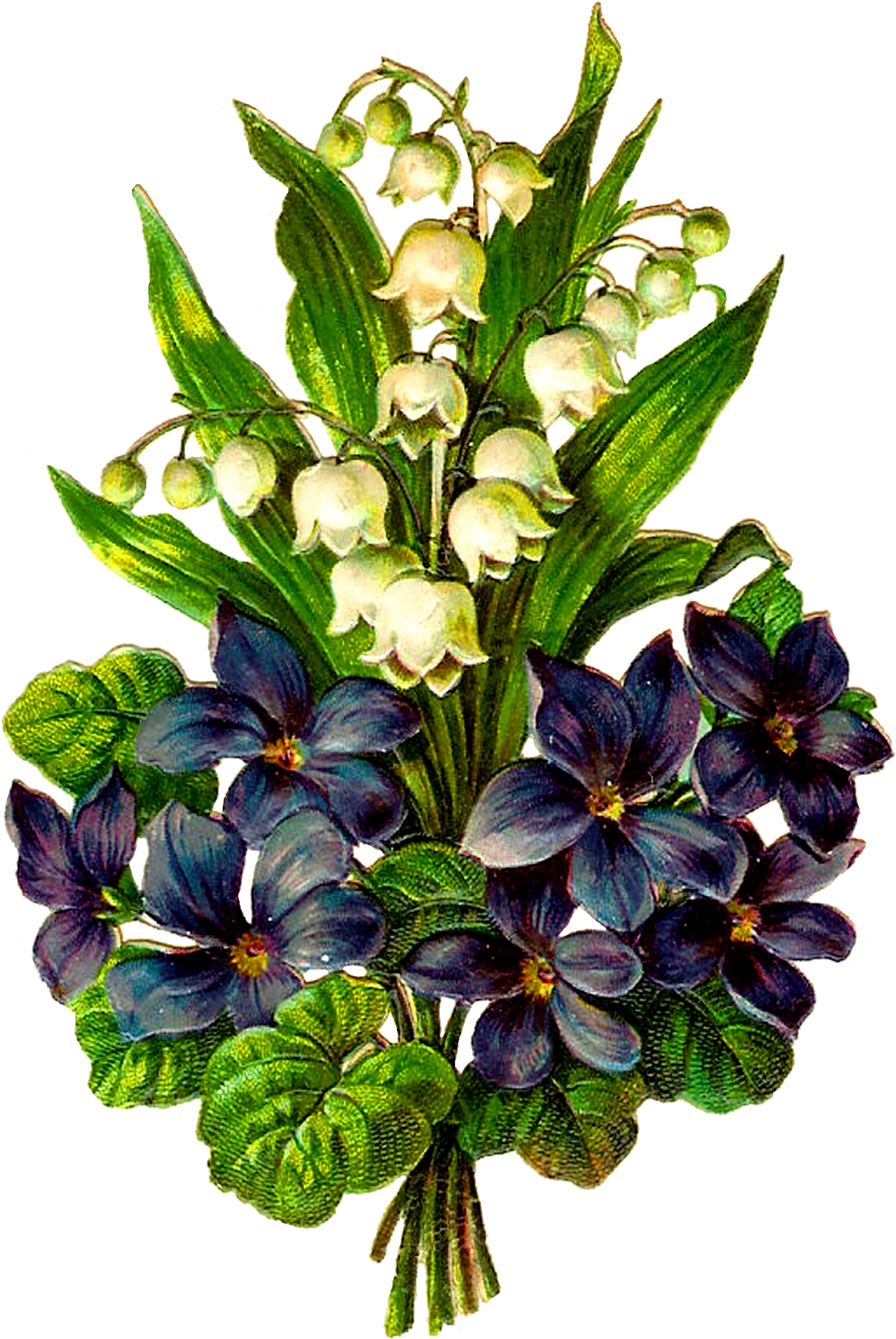 Digital Wildflower Download - Bouquet Clipart (1127x1600), Png Download