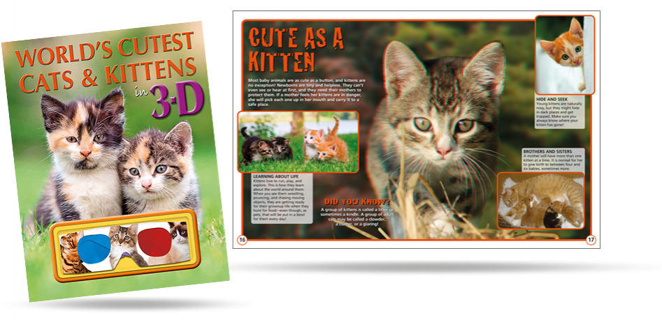 Domestic Short-haired Cat Clipart (989x458), Png Download