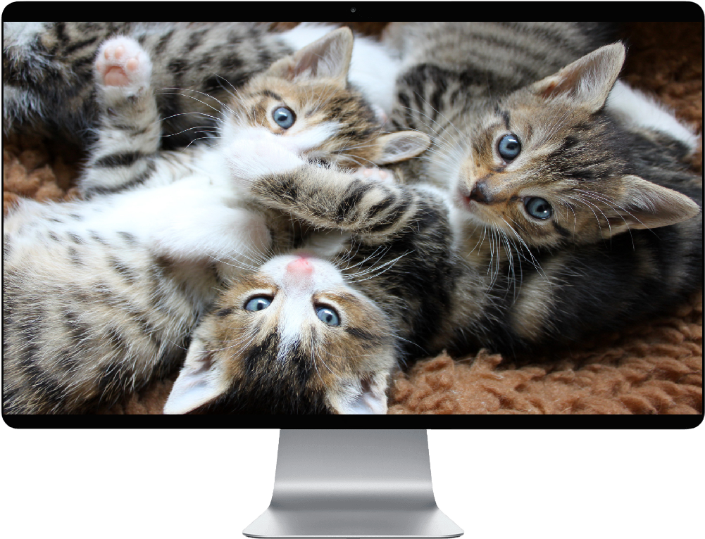 Score 50% - H Clipart (1000x1000), Png Download